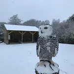 Apartment Bird Nest - Dine With The Eagles Private Retreat Carlisle (Cumbria)