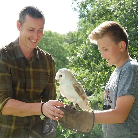 Bird Nest - Dine With The Eagles Private Retreat * Carlisle (Cumbria)