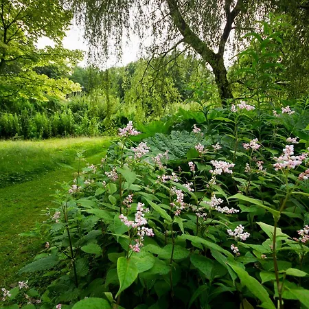 Bird Nest - Dine With The Eagles Private Retreat