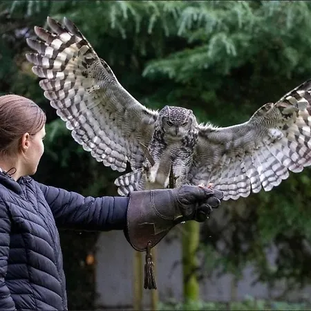 Bird Nest - Dine With The Eagles Private Retreat Daire *