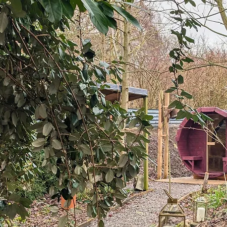 Bird Nest - Dine With The Eagles Private Retreat Apartment